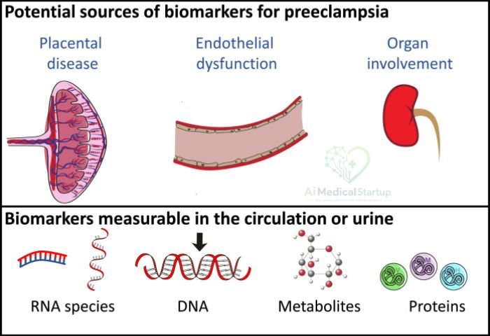 first-trimester-biomarkers-for-preeclampsia
